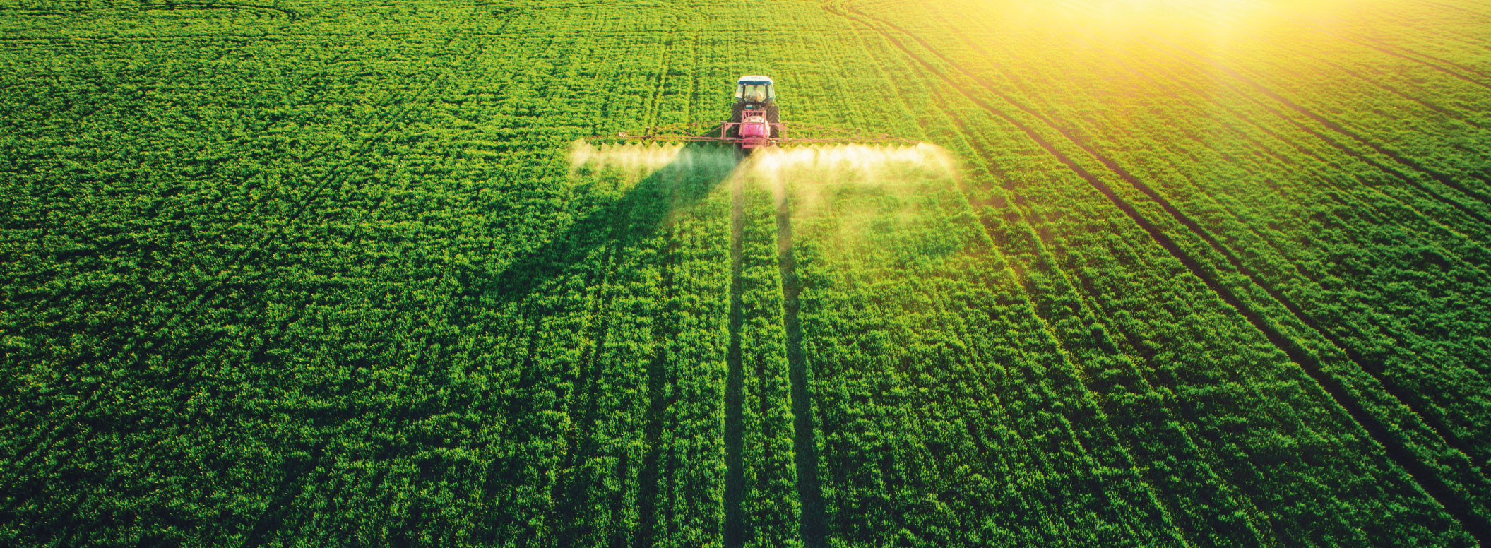 noxto fertiliser