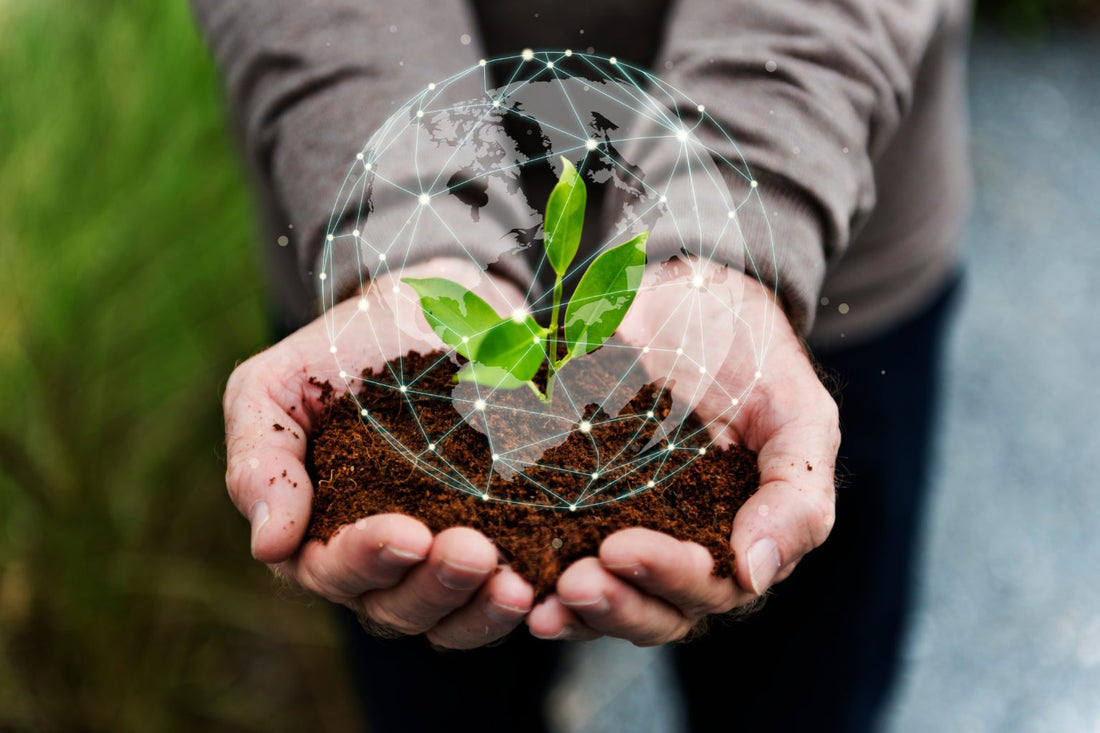 How Photocatalytic Fertilisers Can Help UK Farmers Meet Net-Zero Goals